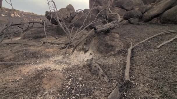Мало Осталось После Огромного Лесного Пожара Оставляющего Сожженный Бесплодный Ландшафт — стоковое видео