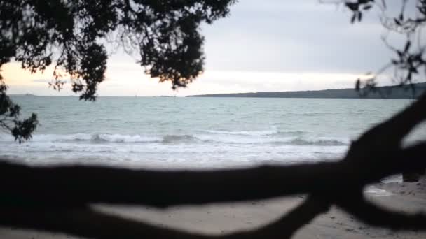 Vlny Narážející Břeh Tmavými Větvemi Stromu Ráno Pláži Úzký Krk — Stock video