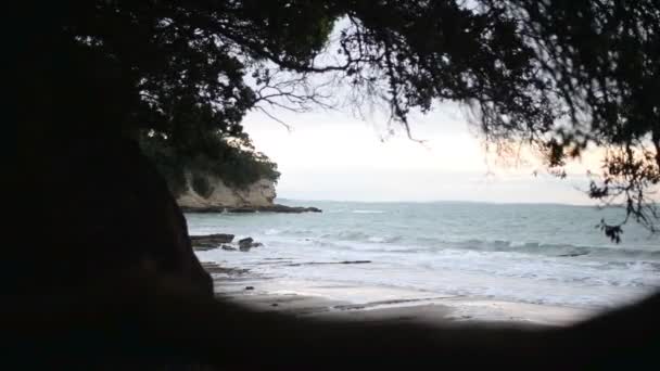 曇り空の朝 浦東川の木々の太い枝から眺める太平洋の海の景色 — ストック動画
