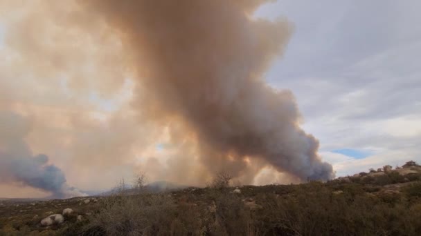 Futótűz Felhő Hegyvidéki Erdőben Robbantás Utáni Polgárháborús Koncepció Vulkánkitörés Felhőjének — Stock videók