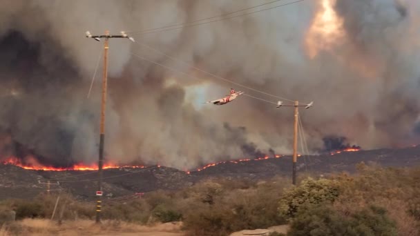 Yangın Söndüren Yangın Söndürücü Uçak Kaliforniya Nın Engebeli Orman Arazisine — Stok video