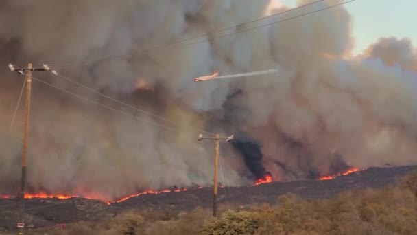 Firefighter Plane Drops Water Bomb Wild Fire Plane Extinguishes Fire — Vídeos de Stock