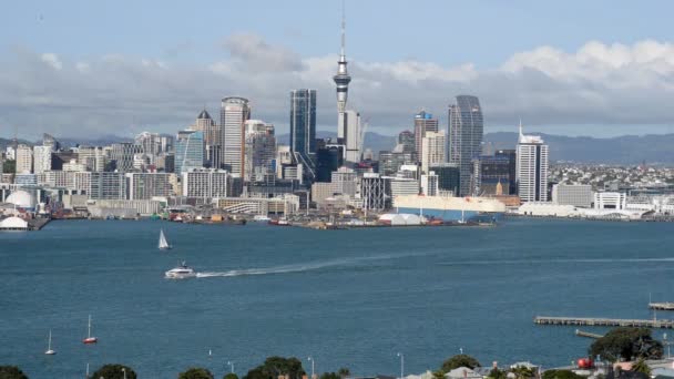 Auckland Skyline Warm Sunshine Sailboats Ferries Crossing Westhaven Waters — Vídeo de stock