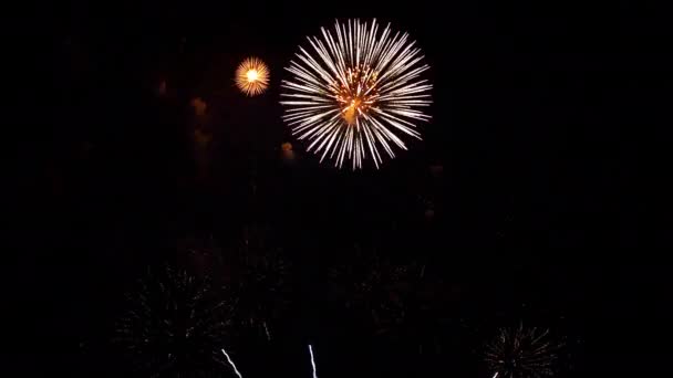 Magical Fireworks Night Sky Celebration Concept Full Frame — Stock Video