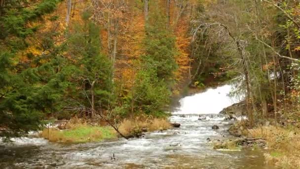 Красивый Водопад Осеннем Лесу Канаде Концепция Таяния Льда Сценический Статичный — стоковое видео