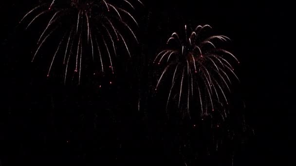 Fogos Artifício Bonitos Céu Noturno Final Celebração Acima Cidade Quadro — Vídeo de Stock
