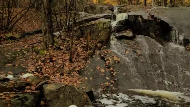 Mały Wodospad Potok Dziewiczej Dziczy Lasu Jesienią — Wideo stockowe
