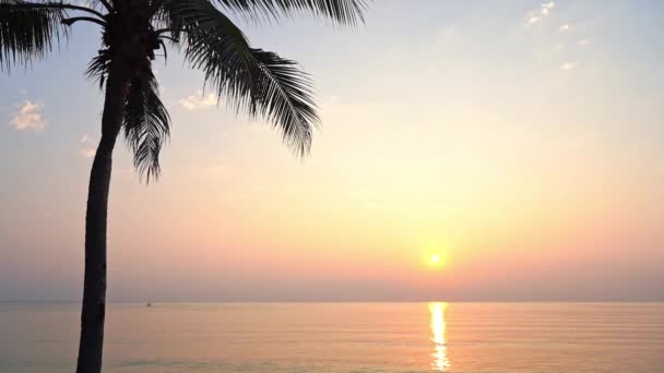 Рассвет Фешенебельном Парадизе Спокойное Море Силуэт Кокосового Дерева Пляже — стоковое видео