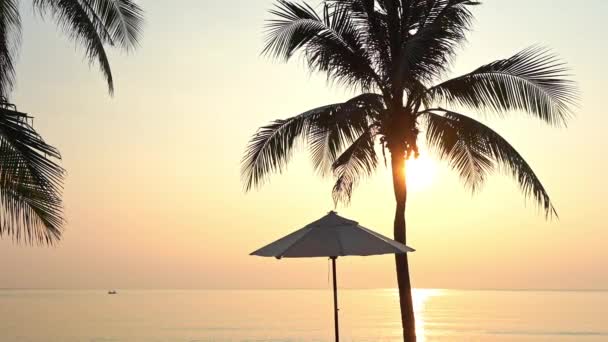 Sunny Morning Tropical Paradise Calm Sea Coconut Trees Parasol Empty — Stock Video
