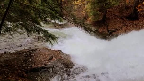 Top Widok Rzekę Rapids Wodospad Dziewiczej Dziczy Podczas Wilgotnej Jesieni — Wideo stockowe