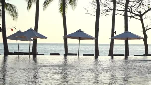 Sabah Tropikal Tatil Köyü Palmiye Ağaçları Şemsiyeler Yüzme Havuzu Sahili — Stok video