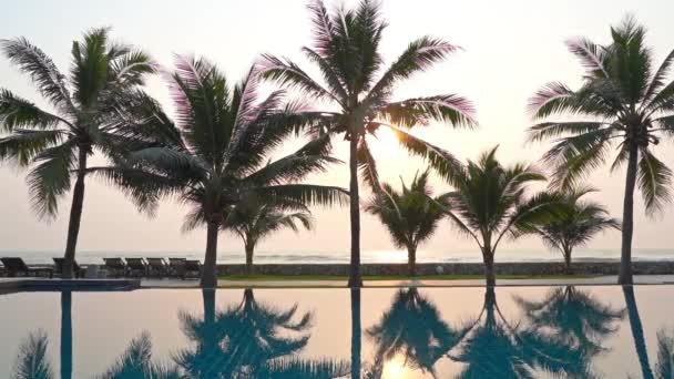 Mooie Zonnige Ochtend Tropisch Resort Zwembad Bomen Het Strand Volledige — Stockvideo