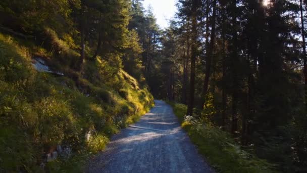 Εμπρός Dolly Tilt View Forest Park Pathway Edge Mountain Caumasee — Αρχείο Βίντεο