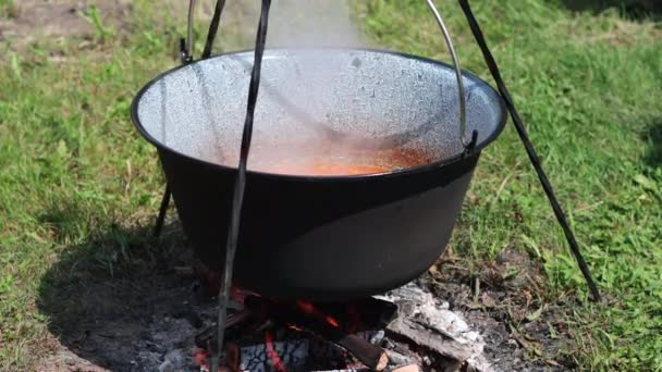薪火の上に三脚から吊るされた鉄鍋でガラス料理を蒸す鍋 — ストック動画