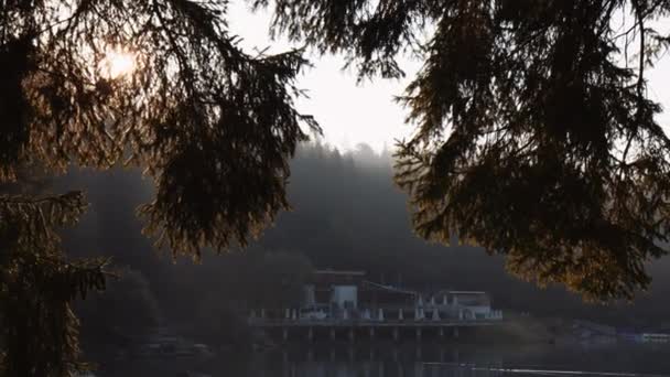Güneşli Bir Yaz Sabahı Caumasee Gölü Nde Ağaç Dalları Yapraklar — Stok video