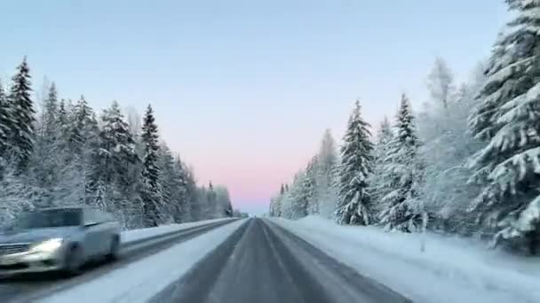 Οδήγηση Στο Δρόμο Χειμώνα Μεταξύ Χιονισμένο Δάσος Μια Σαφή Κρύα — Αρχείο Βίντεο