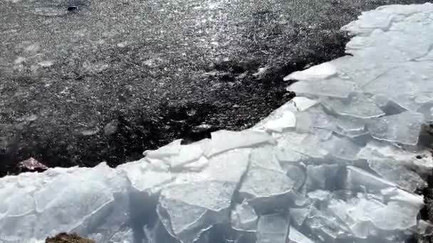 Slushy Ice Water Sheets Ice Shore Melting Sun — Stock Video