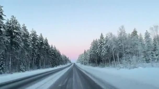 Οδηγώντας Ένα Χειμωνιάτικο Δρόμο Χωρίς Αυτοκίνητα Ανάμεσα Χιονισμένα Δέντρα — Αρχείο Βίντεο