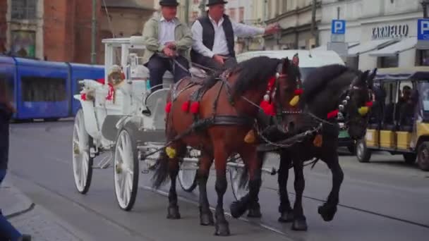 Video Dvou Mužů Projíždějících Ulicemi Polského Krakova Projíždějících Kolem Chodců — Stock video
