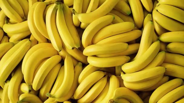 一群香蕉 水果背景 — 图库视频影像
