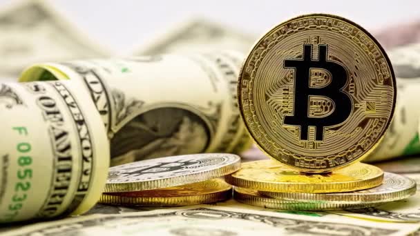 Bitcoin Dollari Concetto Aziendale — Video Stock