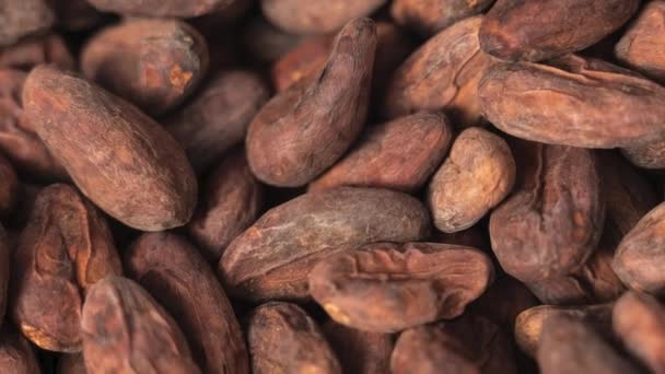 Cacao Beans Rotating Contextul Alimentar Civilizația Mayașă — Videoclip de stoc