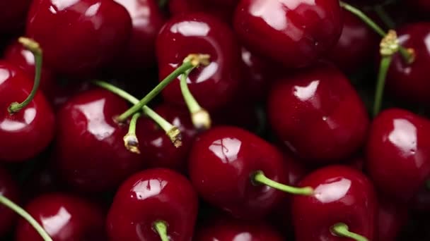 Cereza Rotación Concepto Fruta Antecedentes Alimenticios — Vídeo de stock