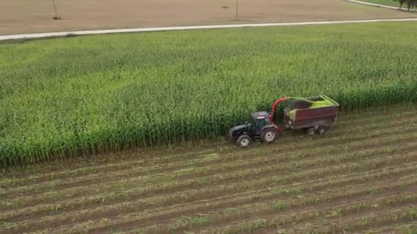 トラクターはトウモロコシのチョップを収穫し バイオマスやサイレージを生産するワゴンで収集します — ストック動画