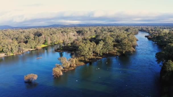 Hume Weir Barajı Gün Doğumunda Batıya Gidiyor — Stok video