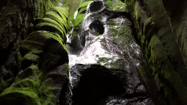 Closeup Water Flowing Dark Stone Dramatic Dark Waterfall Beautiful Green — Stock Video