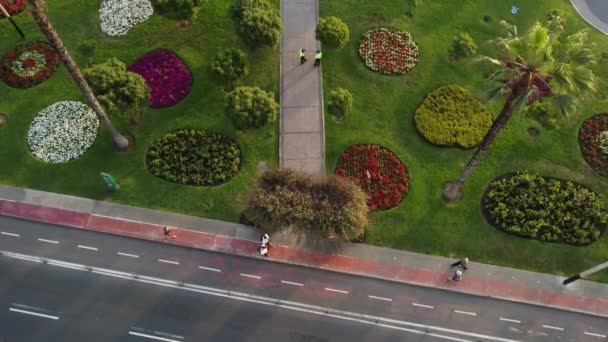 Parque Del Amor 公園のドローン4Kビデオのリマ ペルー 緑の芝生 ヤシの木や花 カップルのキスや背景に海の波の像を表示するには ドローンの傾き — ストック動画