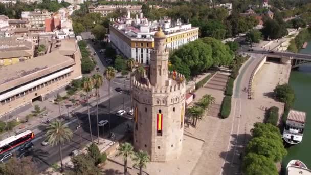 スペインのセビリア トーレ オロ時計塔とランドマーク 市交通と運河 ドローンショットの空中ビュー — ストック動画