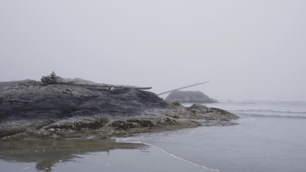 岩の上に流木が横たわる霧の海の風景 — ストック動画