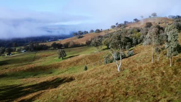 霧深い朝の間にオーストラリアのビクトリア州ウドンガの南西に向かう丘の上のフオンヒルのドローン映像 — ストック動画