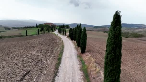 Dirt Road Lined Cypress Trees Στην Τοσκάνη Της Ιταλίας Επανδρωμένο — Αρχείο Βίντεο