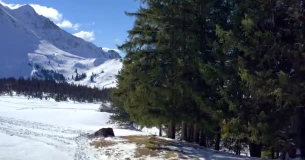 Incredibile Vista Aerea Sulla Natura Srenberg Ski Resort Con Neve — Video Stock