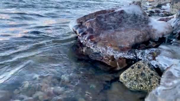 スポケーン川からの水は川沿いの氷の岩に優しく洗います — ストック動画