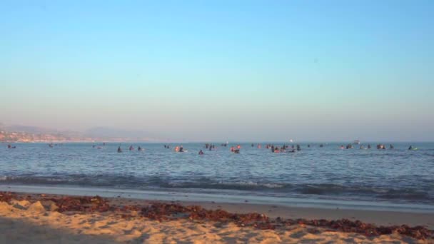 Surfistas Personas Disfrutando Del Agua Laguna Beach — Vídeo de stock