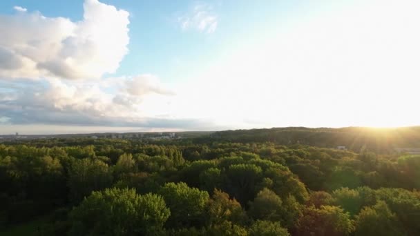 Latanie Lotnicze Nad Jesiennymi Drzewami Leśnymi Gdyni Podczas Zachodu Słońca — Wideo stockowe