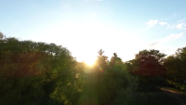 Jasne Słońce Nad Gęstymi Klifami Leśnymi Plaży Orłowo Gdyni Strzał — Wideo stockowe