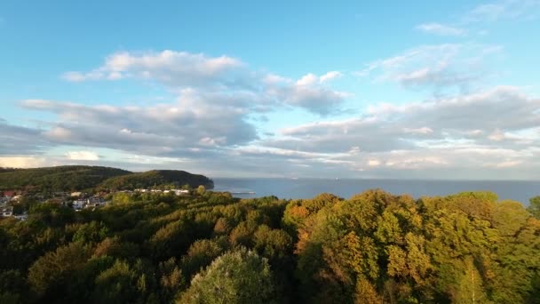 Latanie Lotnicze Nad Jesiennymi Drzewami Leśnymi Gdyni Morzem Bałtyckim Odległość — Wideo stockowe