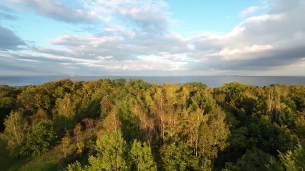 Podzimní Lesní Stromy Proti Oblačné Obloze Orlowo Seaside Village Gdyně — Stock video