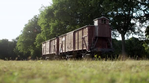 ナチスのキャンプシステム全体の犠牲者を輸送するために使用されるタイプのブレーキマンのキャビンを持つ鉄道貨物車 — ストック動画