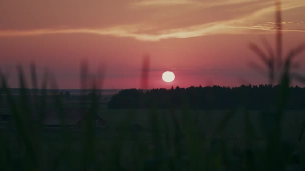 Sonne Versinkt Unter Ruhigem Landschaftshorizont Schönen Zeitraffer Des Roten Sonnenuntergangs — Stockvideo