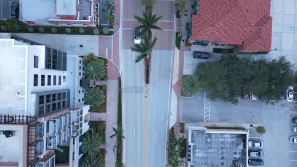 Luftaufnahme Von Oben Auto Bewegt Sich Auf Der Leeren Allee — Stockvideo