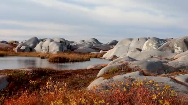 Graffitied Rocas Cerca Estanque Churchill Manitoba Canadá Orillas Hudson Bay — Vídeos de Stock
