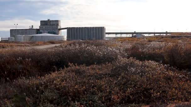 Diepzeehaven Van Churchill Met Toendra Vegetatie Zomer Churchill Manitoba Noord — Stockvideo