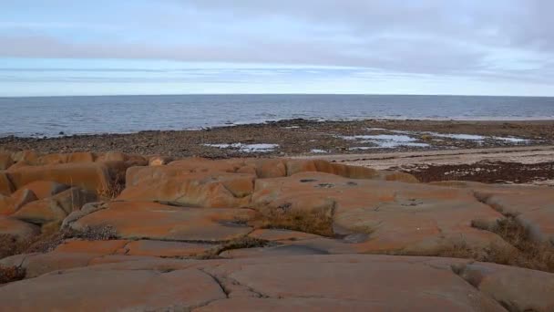 加拿大北部丘吉尔马尼托巴省附近的哈德逊湾海岸红褐色岩石海岸线 — 图库视频影像
