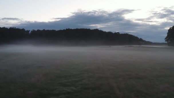 Drone Disparo Niebla Matutina Sobre Campo Lado Bosque — Vídeos de Stock