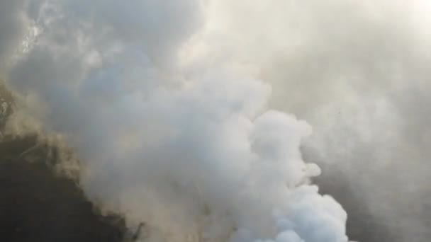 Крупный План Густого Дыма Пожара Лесу — стоковое видео